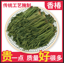 新货农家腌制香椿芽咸菜酱菜新鲜香椿头茬香辣香椿酱1斤装包邮