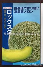 特别推荐日本原装进口高品质 ----日本玫珑网纹甜瓜种子