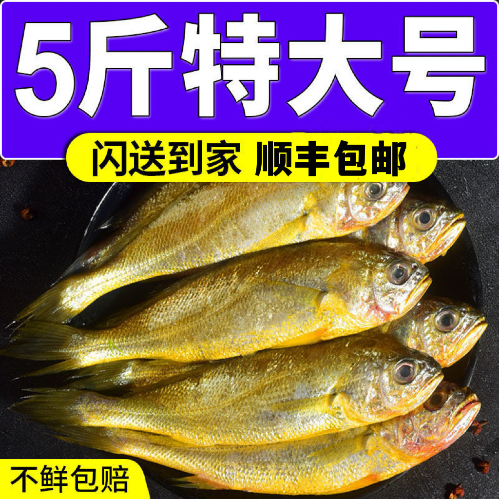 【顺丰包邮】无冰深海小黄花鱼黄花鱼5斤新鲜海鲜冷冻东海黄鱼