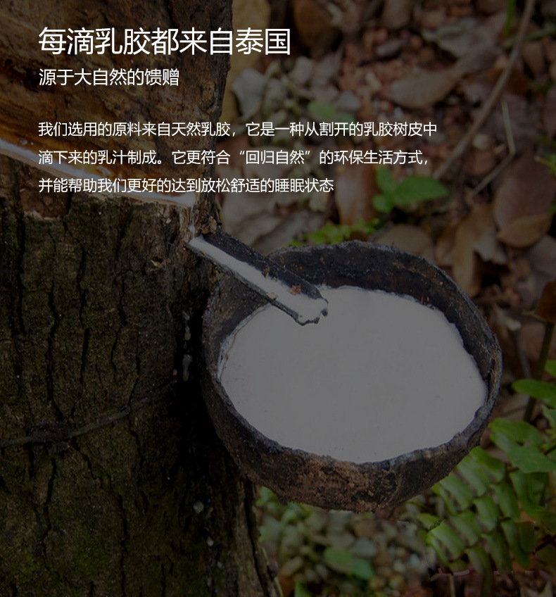 泰国天然乳胶枕进口原液橡胶枕芯按摩枕护颈枕单人学生成人记忆