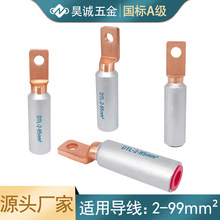 新能源蓄电池铜接线端子 接线片 2-95平方铜鼻子 铜端子铆接端子