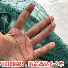 厂家直销防鸟网尼龙网青蛙养殖防逃网牛蛙围网鱼塘池塘泥鳅天网