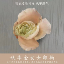 美鲜花自喷漆花艺喷染色剂碎冰蓝玫瑰乌梅子酱 暮色森林直销