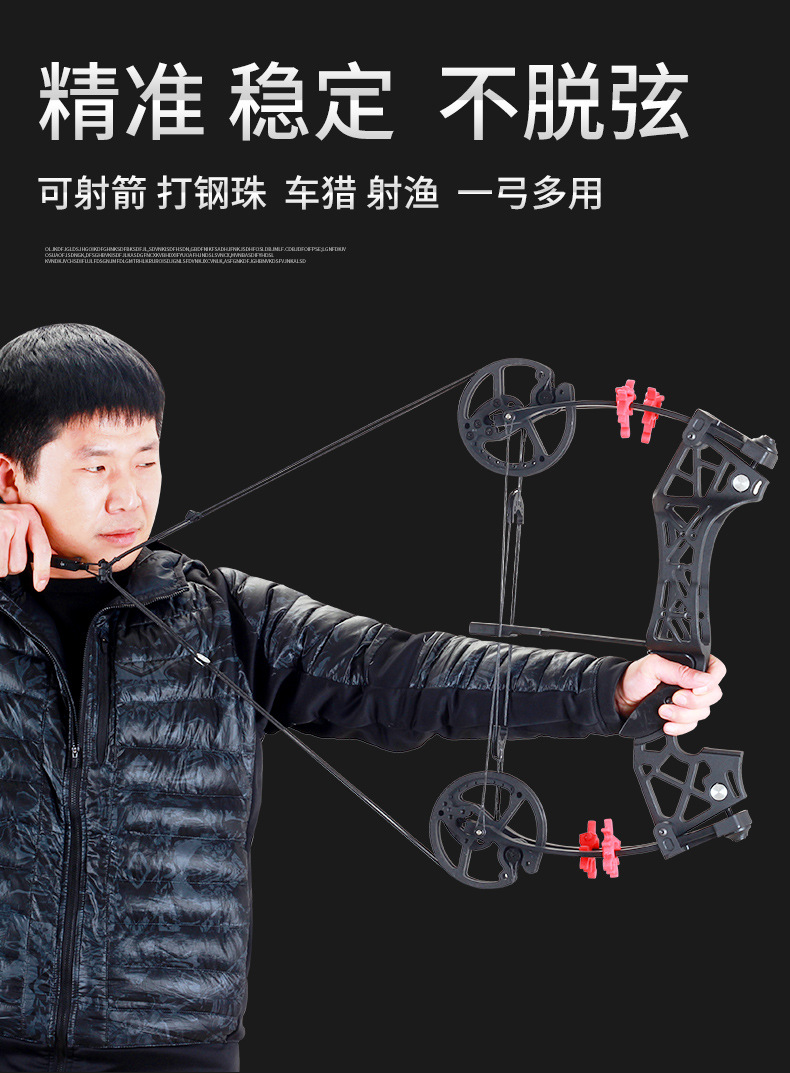 新款夜鹰射箭钢珠两用滑轮复合箭弓户外射箭射鱼车载钢珠一弓多用