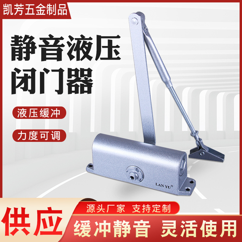 现货供应 蓝雨牌静音液压闭门器  防火闭门器 液压缓冲闭门器