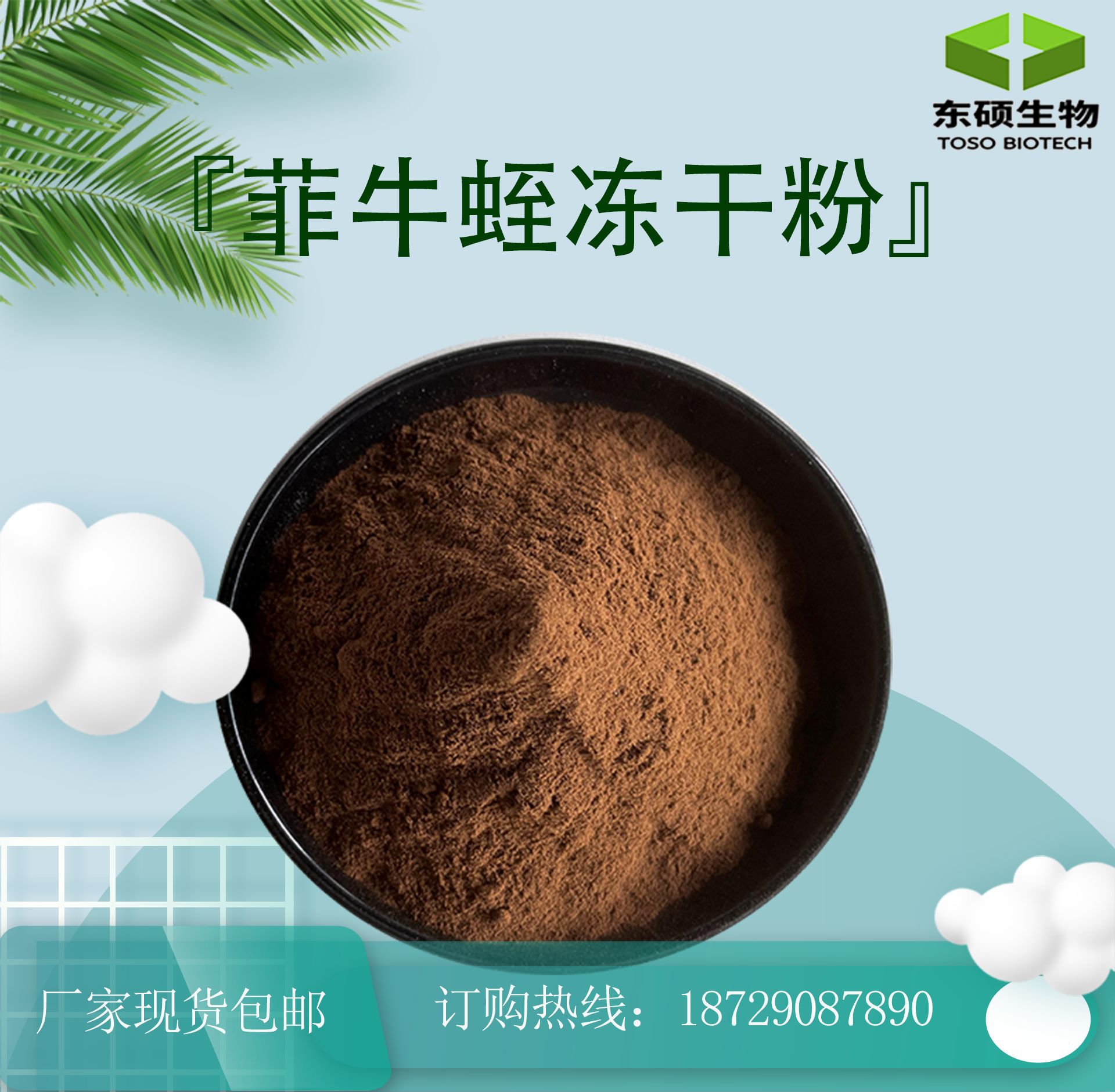 菲牛蛭冻干粉800atu/g 水蛭冻干粉 水蛭提取物 100g/袋-阿里巴巴