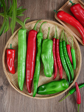 云南小米辣椒青椒4斤农家自种新鲜小米椒泡椒朝天椒尖椒指天椒辣