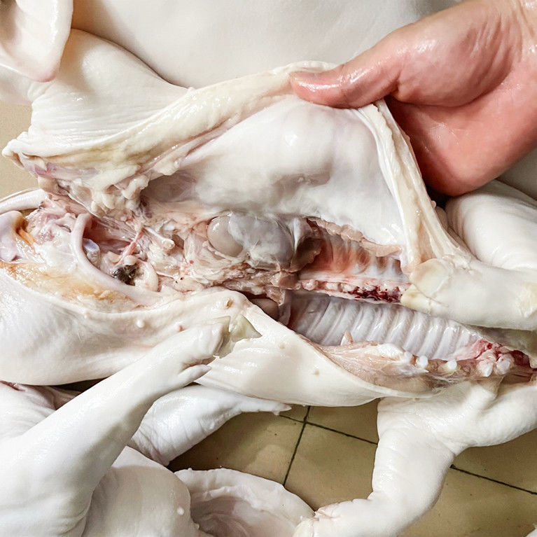 新鲜乳猪整只广式烧腊脆皮烤肉小香猪现杀土猪50斤一只