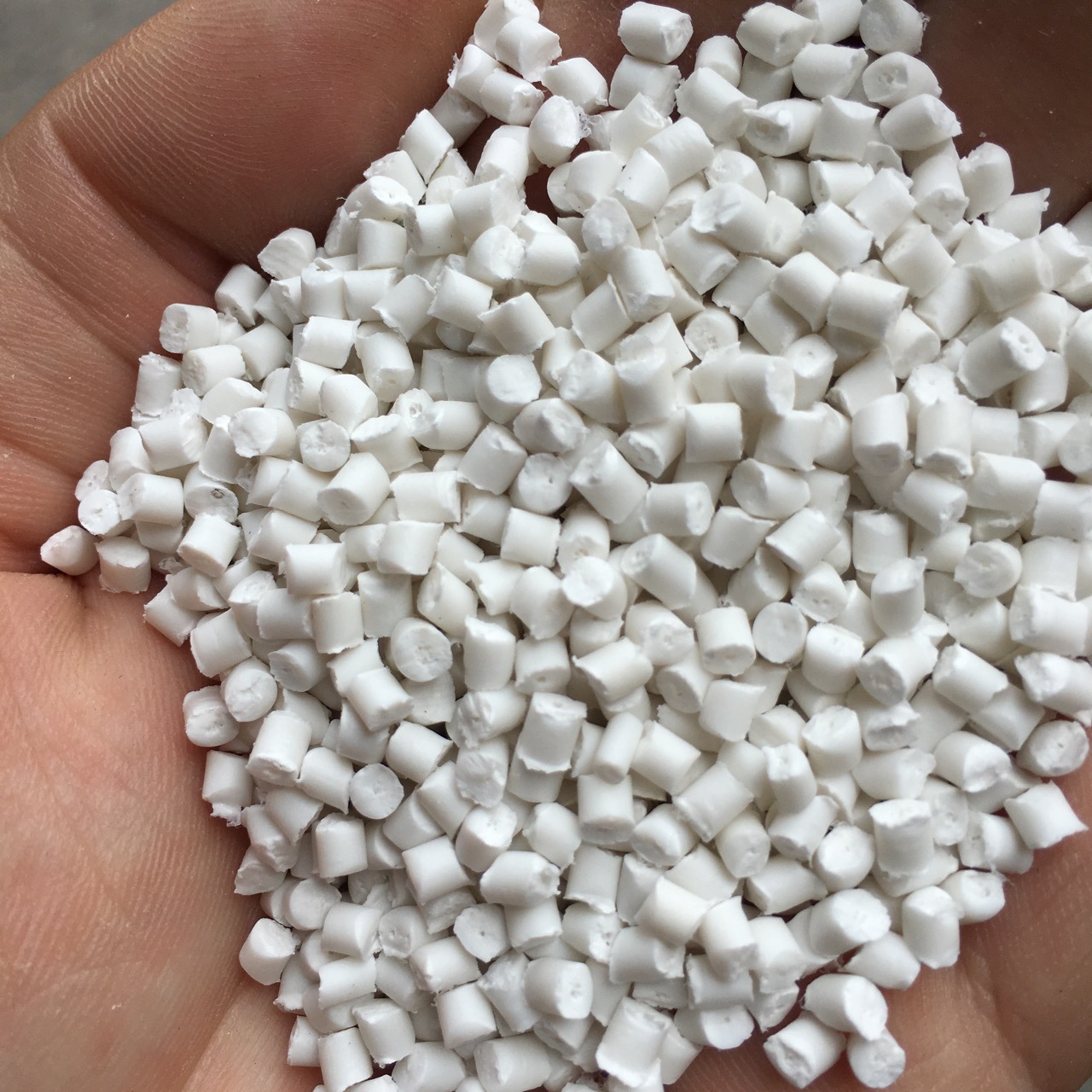 pp聚丙回料余姚