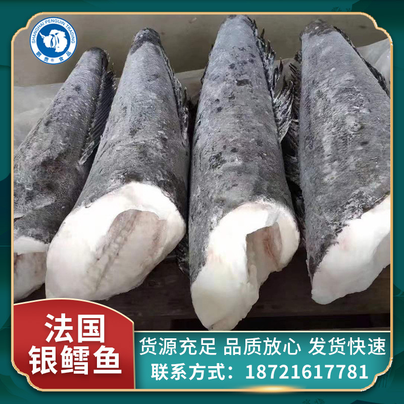 法国银鳕鱼 整条可代切片深海银鳕鱼南极犬牙鱼新鲜船冻批发-阿里巴巴