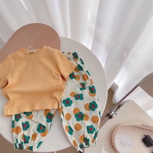 女童套装夏装2021年新款韩版短袖上衣打底衫女宝宝防蚊裤子两件套