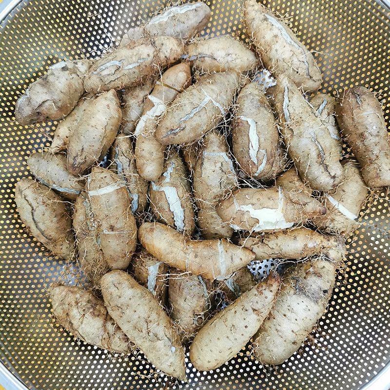 新鲜毛薯特小化州甜薯3斤猪仔薯粉糯甜薯广东毛薯5斤单果50g以下