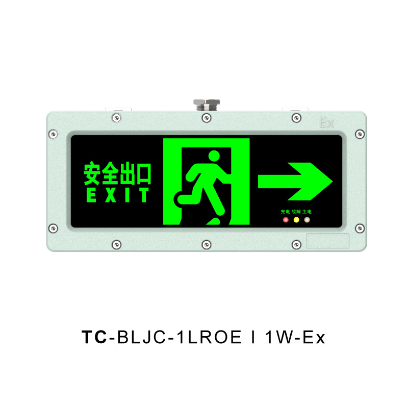 台创集中电源集中控制a型dc36v防爆型消防应急照明标志疏散灯具