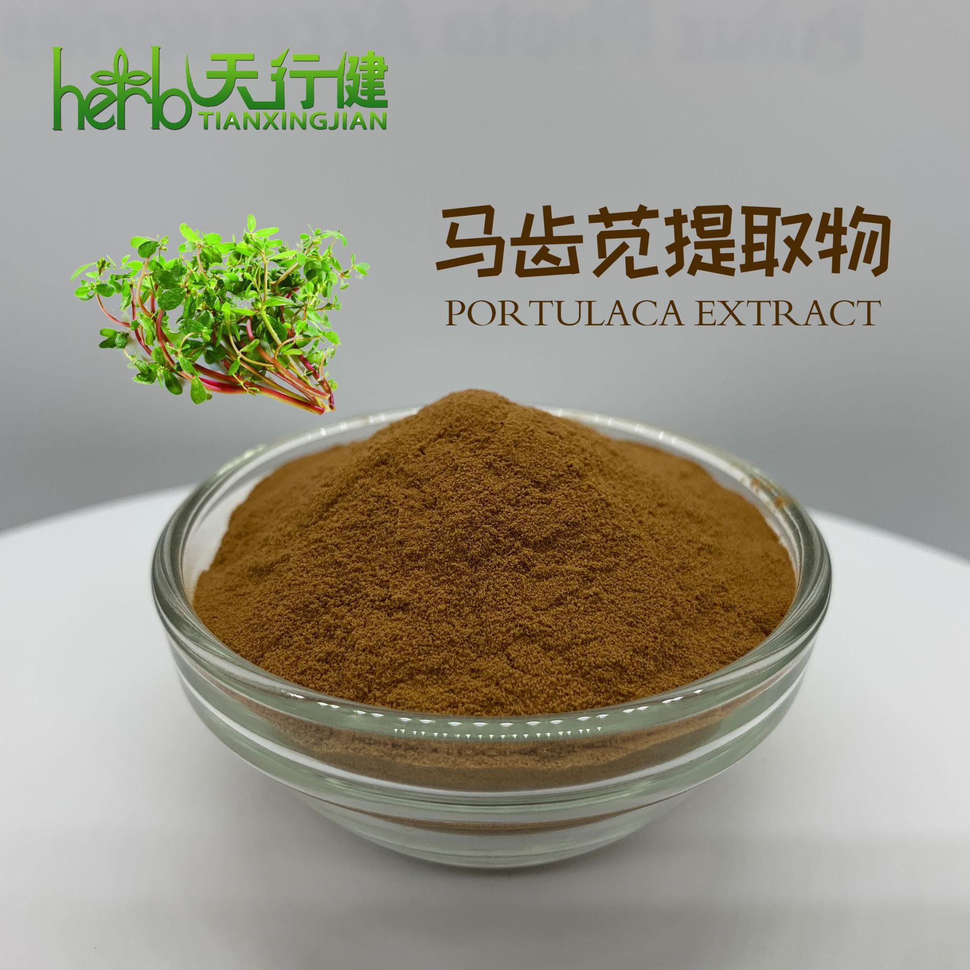 sc厂家天行健生物 马齿苋提取物 马齿苋粉 马齿苋10:1-阿里巴巴