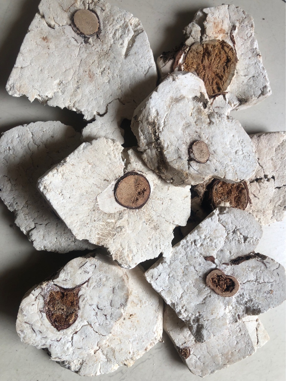 批发中药材 茯神 茯神木 伏神 各种规格 代嚰粉