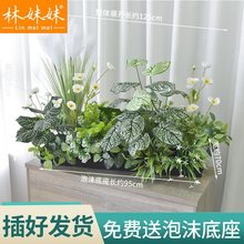 仿真绿植组合摆件花卉造景室内摆投花箱装饰假花植物隔断花槽盆栽