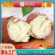 白心红薯板栗薯现挖现发农家老品种地瓜新鲜白瓤番薯红苕2/5/10斤