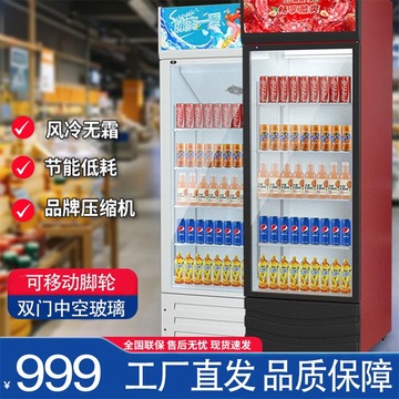 立式饮料柜冰柜商用冷藏展示柜啤酒柜保鲜超市办学烧烤饮料冷柜