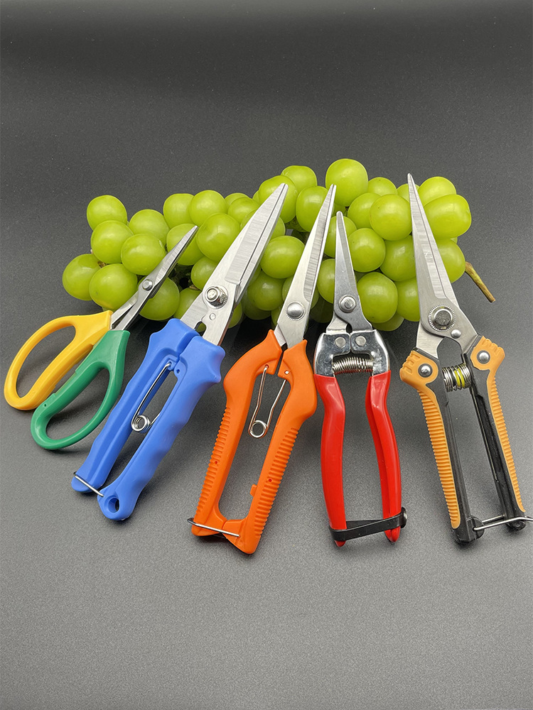 葡萄剪刀专用剪刀采果剪簧剪修花蔬果水果树枝稀疏果摘果小剪