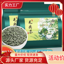 正宗毛尖茶2024新春茶明前特级嫩芽浓香型信阳特产茶叶散装自己喝