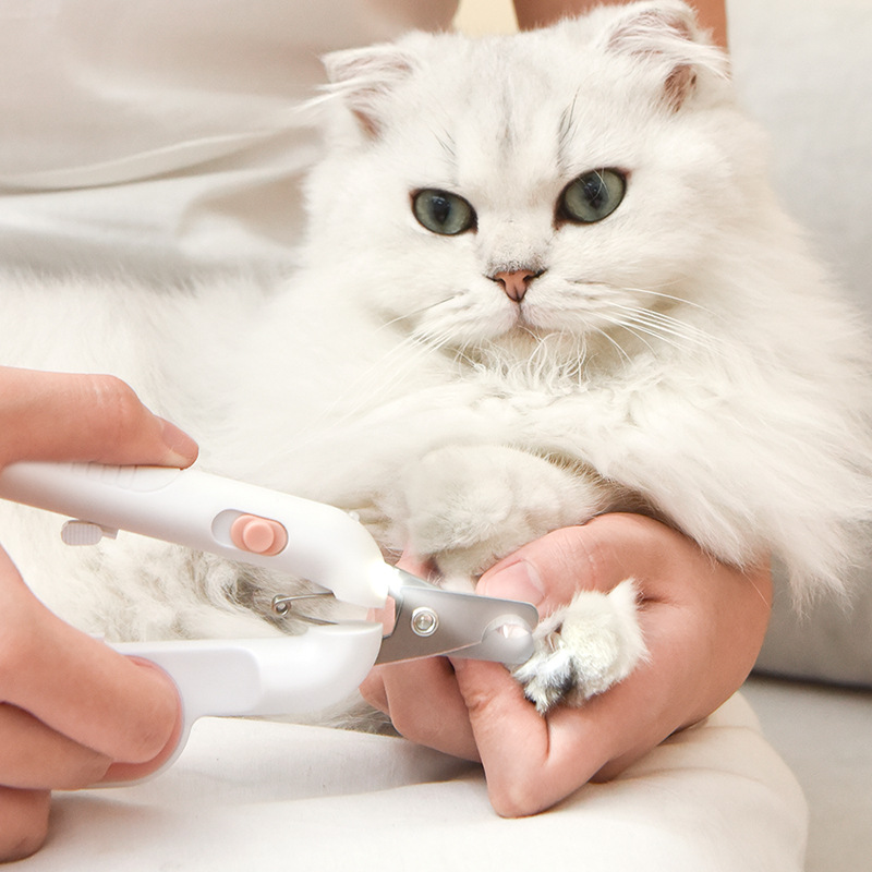 店kaitaidian2017|5年 |主营产品:宠物用品;宠物营养品;狗粮所在地