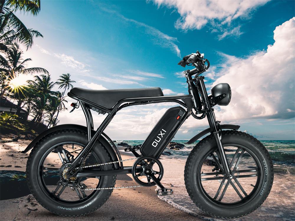 广东源头工厂外贸热销20寸变速越野胖胎助力电动车山地电动自行车