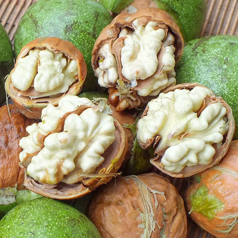 云南新鲜核桃湿核桃去青皮绿皮孕妇鲜核桃生核桃活嫩核桃1-5斤装