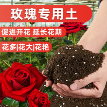 种玫瑰花专用土营养土盆栽大马士革玫瑰花土壤泥土种植土肥料蔷薇