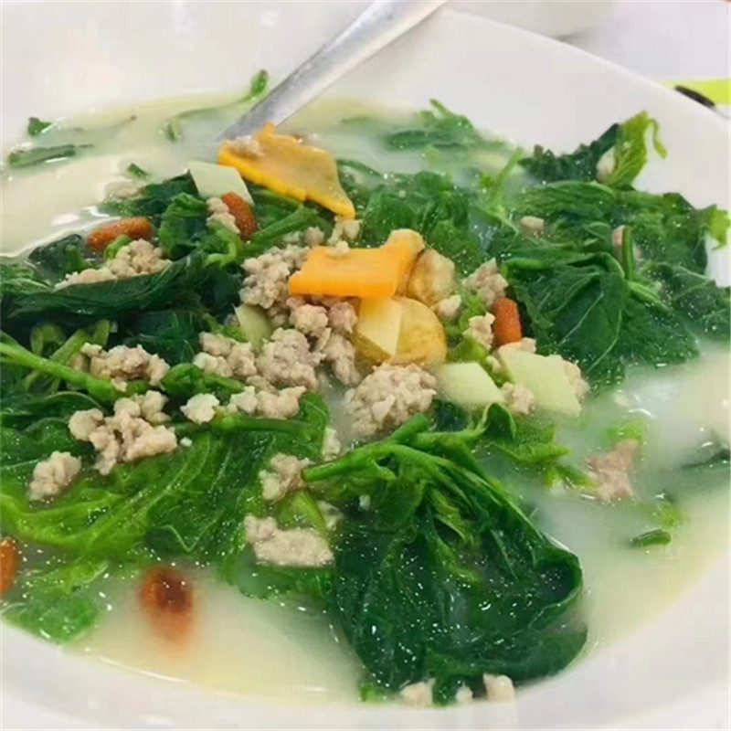 新鲜冷冻桑叶嫩桑芽桑芽菜餐厅农庄上汤炒菜商用嫩桑芽菜整箱批发