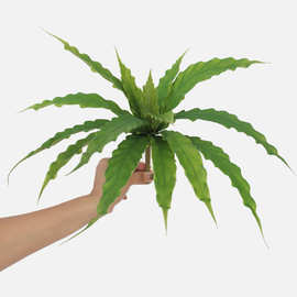 大号鸟巢蕨仿真绿植手感软胶15叶加厚叶片蕨类鸟巢蕨盆栽假花植物