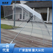 雨伞 透明伞女生白色直杆日系加固简约长柄半透明雾面厂家代发