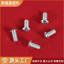 温州生产厂家半圆头4.8级不锈钢螺丝 非标螺栓 冷镦异型紧固件