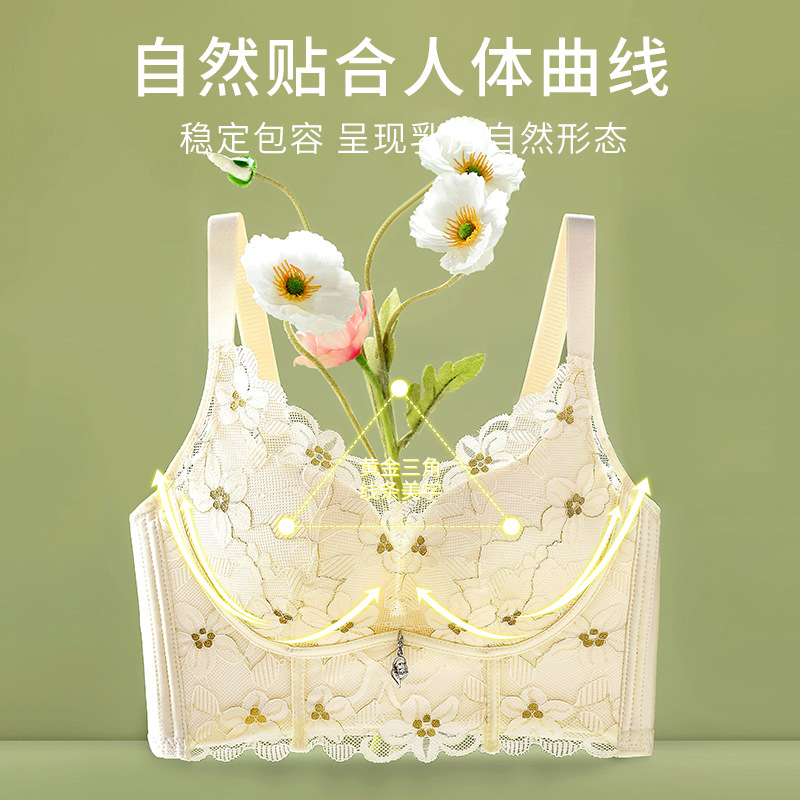 New Sexy Lace Height Side Drawing Underwired Bra Small Chest Push up Breast Holding Adjustable Thin Thick Underwear for Women