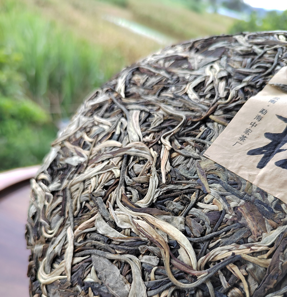曼松普洱茶饼 古树普洱生茶 倚邦皇室贡茶 云南高杆大树茶饼