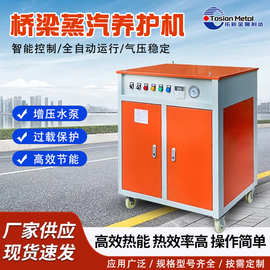冬季工程全自动养护蒸养机桥梁蒸汽养护36kw48kw电加热蒸汽发生器