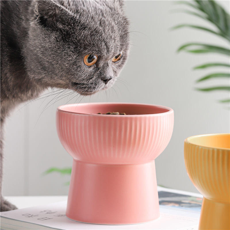 猫碗陶瓷猫咪食盆宠物高脚碗防打翻保护颈椎猫粮碗水碗狗碗宠物碗