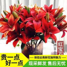 【无香味】红宝石亚百合鲜花红色鲜花室内云南基地直发新鲜橙色