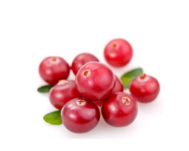 蔓越莓果粉 水溶 蔓越莓果汁粉 现货 蔓越橘粉 小红莓粉 批发零售