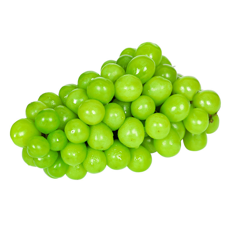 现货陕西阳光玫瑰新鲜绿葡萄香印绿提子产地直发3斤顺丰包邮