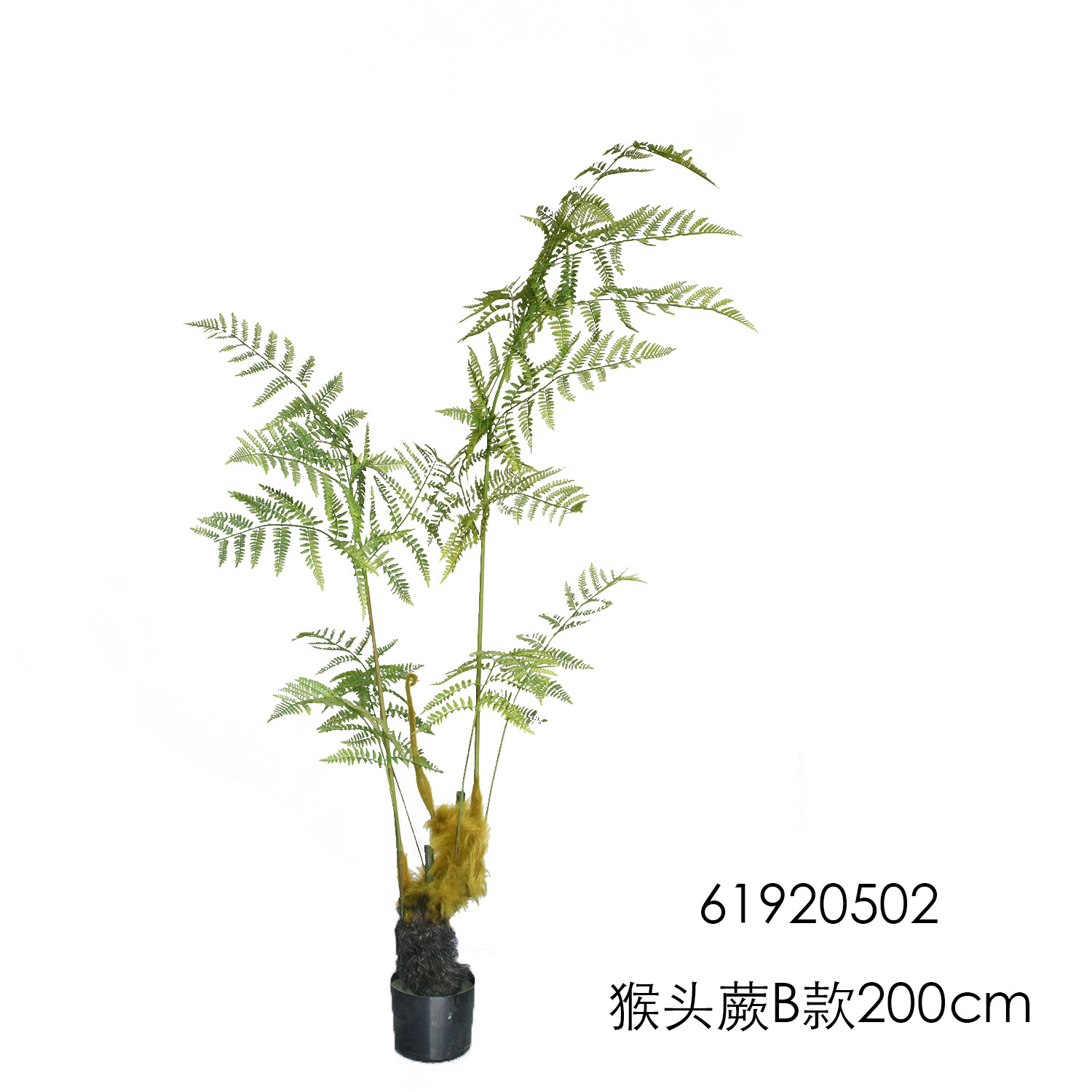 仿真猴蕨头树仿真绿植蕨草软装室内落地装饰蕨类盆栽猴头蕨盆景