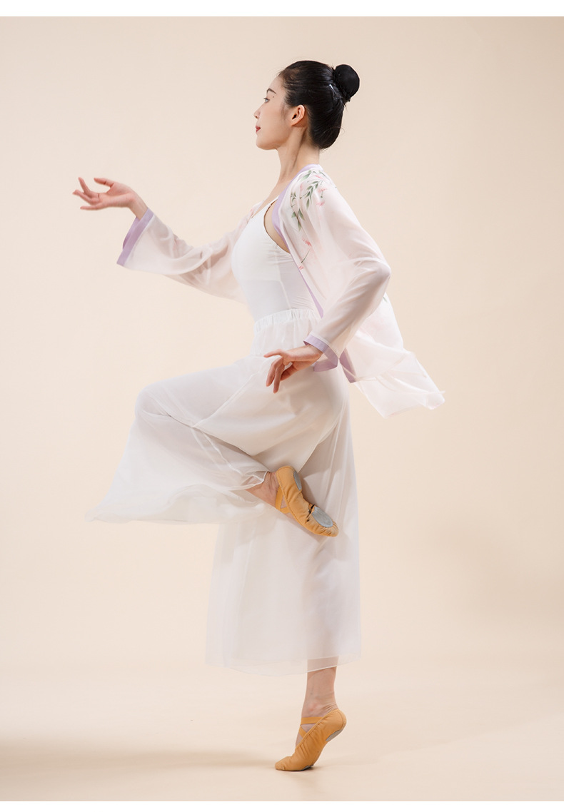 古典舞舞蹈服女纱衣民族舞演出服装表演服中国风汉服开衫上衣
