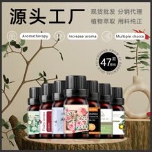 跨境外贸单方精油现货10ML 室内持久留香空气清新水溶性香薰精油