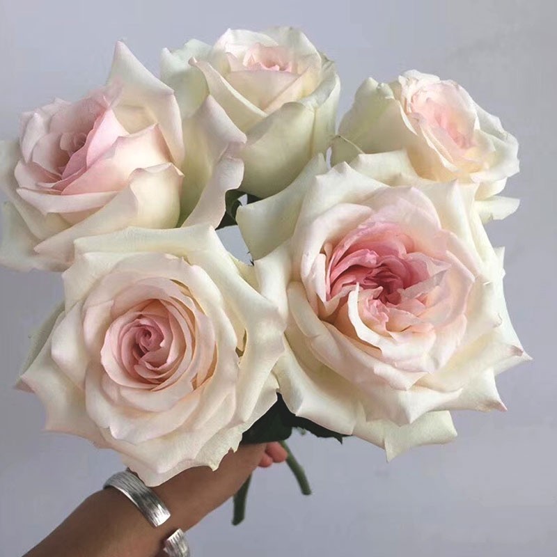 云南鲜花基地批发香水女人玫瑰鲜切花一件代发室内花束花店用花