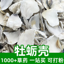 牡蛎壳1kg食品级中草药原材料可打粉Oyster shell蛎蛤牡蛤