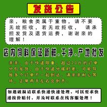 鸽粮有玉米基础鸽粮赛飞营养饲料鸟食信鸽观赏鸽肉鸽粮鸽子食包邮