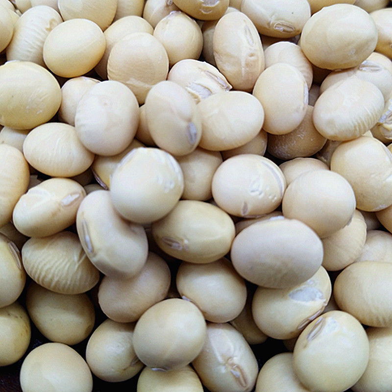 精选新货绿皮干蚕豆生的绿胡豆可发芽做油炸罗汉豆莲花豆青皮蚕豆