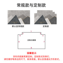 OF9D进门地垫入户门垫大门口门外玄关脚垫简约家用全屋地毯免洗可