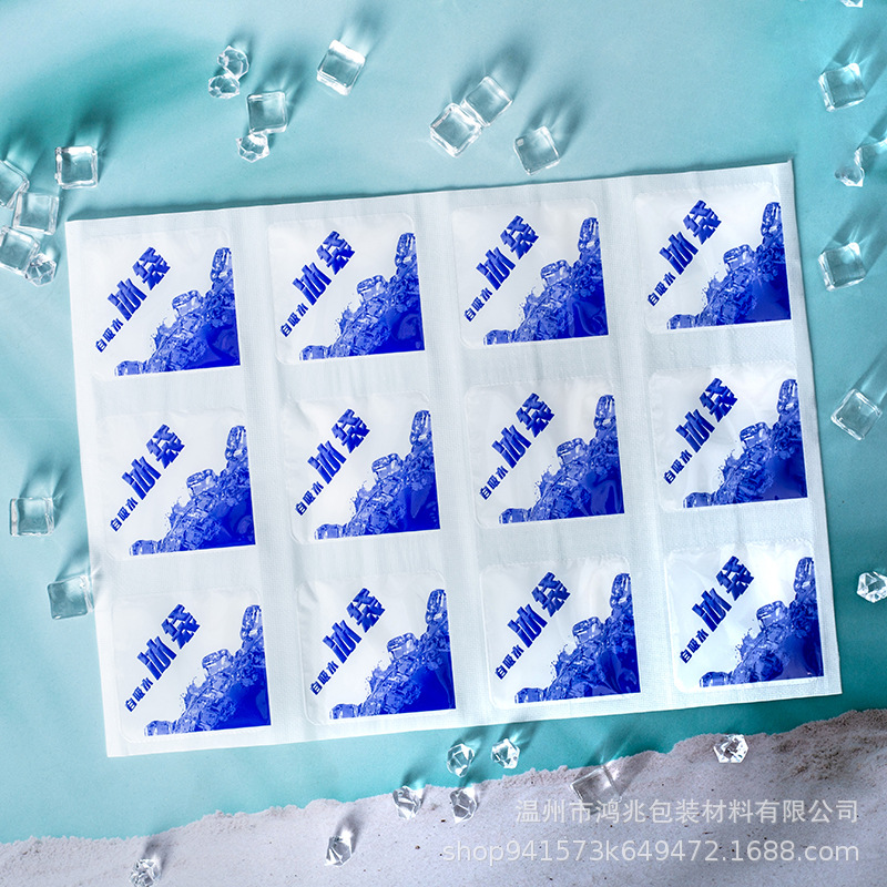 Ice Pack Wholesale Disposable Self-Absorbent No Water Injection Express Dedicated Repeated Use Insulation Frozen to Keep Fresh Spot