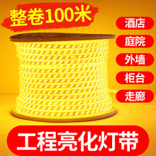 100米金黄光led灯带条工程亮化景观照明户外防水220V室外装饰批发