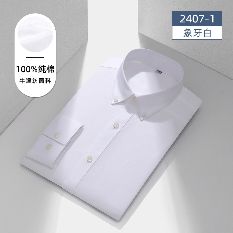 2024 New Light Luxury Cotton Oxford Long-Sleeved Shirt Men's and Women's Same Enzyme Washing Commuter Youth Men's Shirt